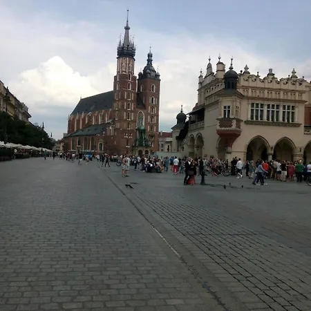 Cytrus Lemon Kraków